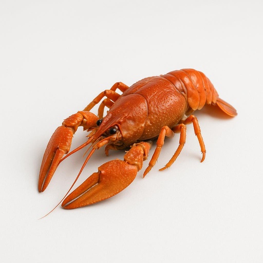 신선 가재 썸네일