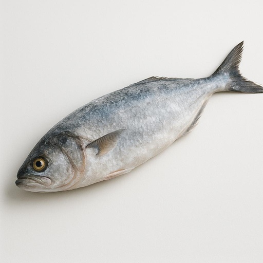 Frozen Bluefish thumbnail